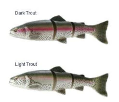 Savage Gear 3D Line Thru Trout -Fishing Supplies Store savage gear 3d line thru trout lures 49443.1651163325