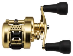 Shimano Calcutta Conquest MD Baitcasting Reels -Fishing Supplies Store shimano calcutta conquest md baitcasting reels 25316.1674255441