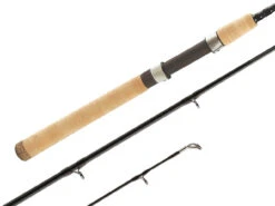 Shimano Teramar Inshore Southeast Casting And Spinning Rods -Fishing Supplies Store shimano teramar southeast fishing rods 71796.1651006809