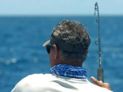 Shimano Terez Conventional Rods -Fishing Supplies Store shimano terez conventional fishing rods 83511.1661538644